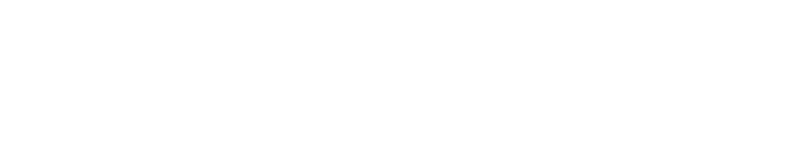 Fast Lane Convenience Stores